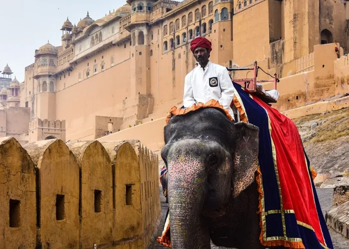 jaipur, rajasthan, india-.jpg